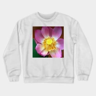 Large Water Lily (Lotus) Flower, Thailand Crewneck Sweatshirt